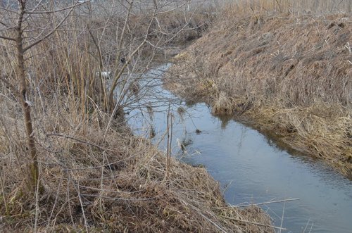 Property photo 9 - 98+/- Acres Offered in 6 Tracts or Combinations, Noble County, Indiana Farm